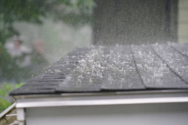 Best Storm Damage Roof Repair  in Clinton, NY